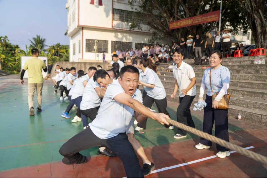 1775398897149090973.jpg 1775398897149090973.jpg