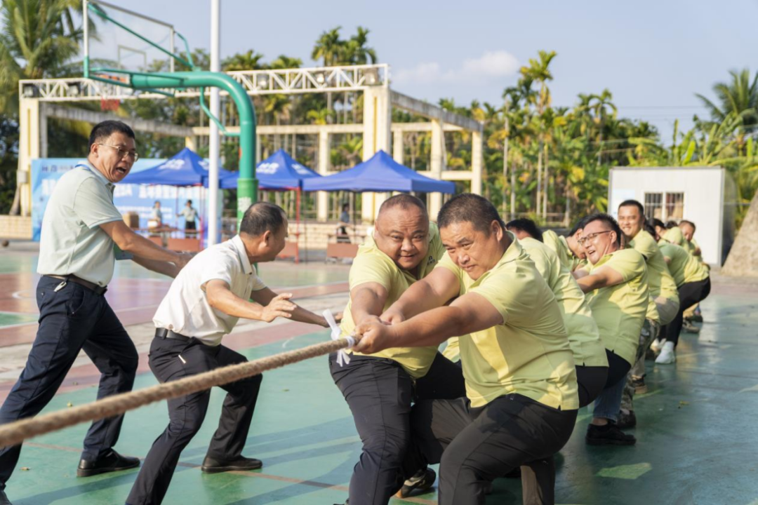 1775398901884089109.jpg 1775398901884089109.jpg